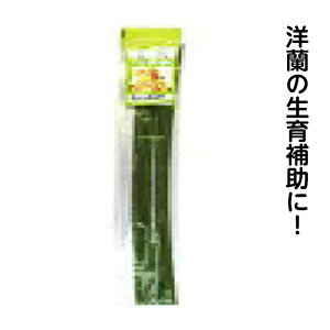 yyVX[p[SALEzitR mS 10P 3.2-450y2025/12/4 20:00 - 2025/12/11 01:59z