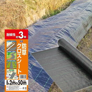 yyVX[p[SALEzitR hNXV[g@2×50my2025/12/4 20:00 - 2025/12/11 01:59z