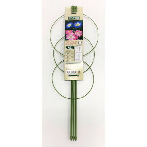 itR Ox 75cm O̐3