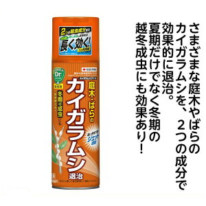 JCKVGA][@480ML