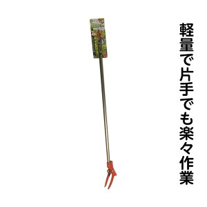 GH�@���}������킴�@Y-100