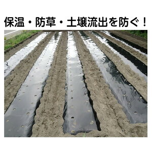 itR ؉p}` ~V:a60mm V[gTCY:95cm×50m