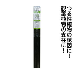 yGg[Ń|Cg10{zat؃wS@2{pbN@33×580y2025/12/4 20:00 - 2025/12/11 01:59z