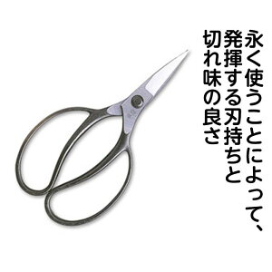 P@A@D^