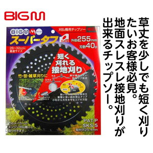 BIGM�i�ێR���쏊�j �X�[�p�[�^�t 255mm×40P