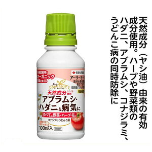 アーリーセーフ 100ml