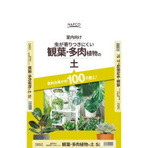 itR ϗtEA̓y 5L