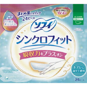 jE`[ \tB VNtBbg ̒p 24s[X