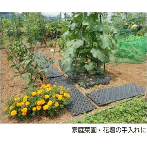 t 炭炭΂@TL[ 300X910X9mm