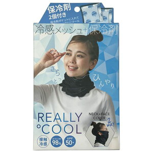 UVA[N[ lbNJo[ pۗ2t