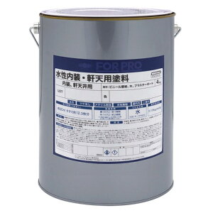 FOR PRO V 4kg 