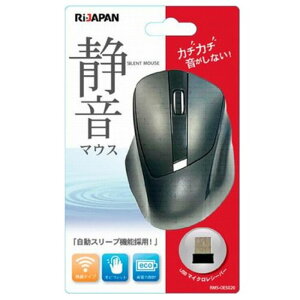 Ri-JAPAN Éw}EX RMS-OES020BK