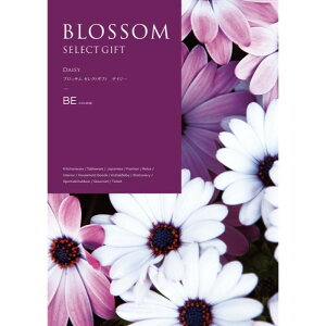 yBEzyΕzubT fCW[-؁F2025N1211