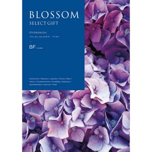 yBFzyΕzubT AWTC-؁F2025N1211