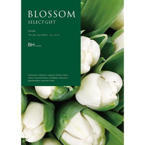 yGg[Ń|Cg10{zyBHzyΕzubT `[bv-؁F2025N1211y2025/12/4 20:00 - 2025/12/11 01:59z