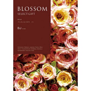 yBJzyΕzubT o-؁F2025N1211