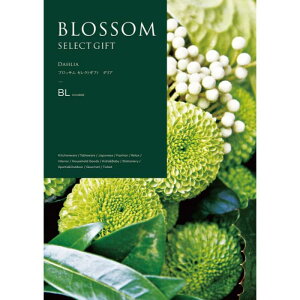 yGg[Ń|Cg10{zyBLzyΕzubT _A-؁F2025N1211y2025/12/4 20:00 - 2025/12/11 01:59z