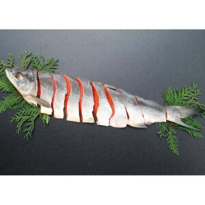 yP3-11TzyΕzmY Vg-؁F2025N1211