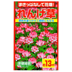 アタリヤ農園 緑肥 れんげ草