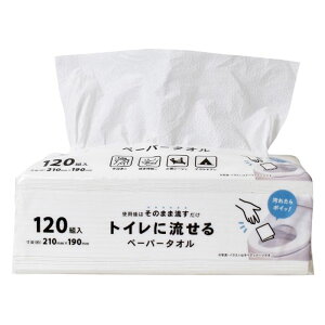 p[N[ gCɗy[p[^I120g K-10839WH