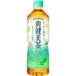 爽健美茶 600ml×24本 ケース