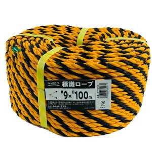 YW[v #9×100m