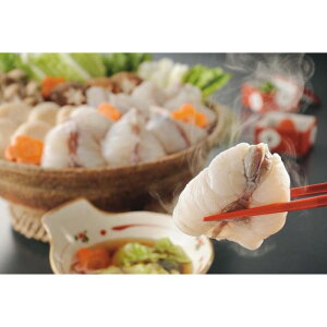 yA25-8zyΕzgtOZbg-؁F2025N1211