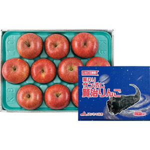 yA12-4zyΕzJAĉԊ Tӂi񂲁j-؁F2025N123