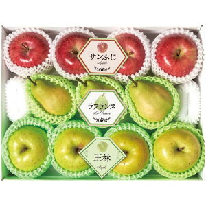 yY14-16AzyΕz~̉ʎ3l-؁F2025N1211