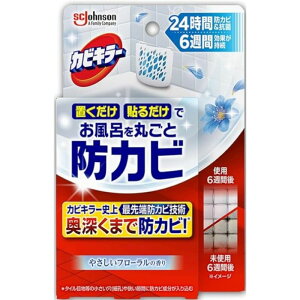 W\ JrL[ CɒuhJrWF ₳t[̍ {̗e×1,J[gbW×1