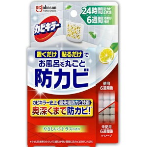 W\ JrL[ CɒuhJrWF ₳VgX̍ {̗e×1,J[gbW×1