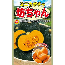 アタリヤ農園 かぼちゃ 坊ちゃん