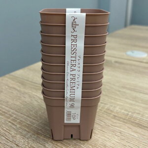 g vXev~A90@10g 3v~AsN