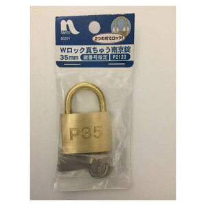 itR V_[싞ꌮ 2045P ԍw35mm