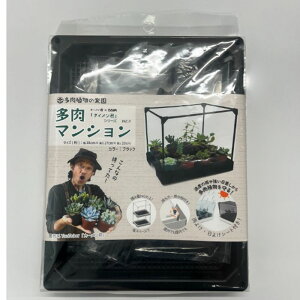 yGg[Ń|Cg10{zrj[ }V ubNy2025/12/4 20:00 - 2025/12/11 01:59z