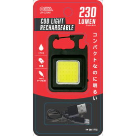 【楽天スーパーSALE】オーム電機 充電式COBライト LH-C23A5【2025/12/4 20:00 - 2025/12/11 01:59】