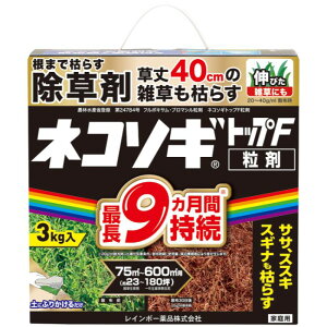 i摜