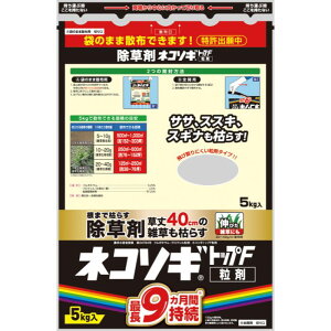 i摜