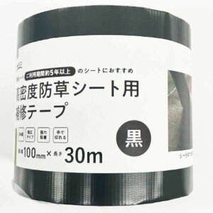 yGg[Ń|Cg10{zxhV[gpe[v@ 10cm×30my2025/12/4 20:00 - 2025/12/11 01:59z