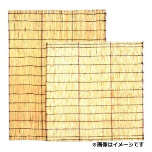 VR悵 9×6