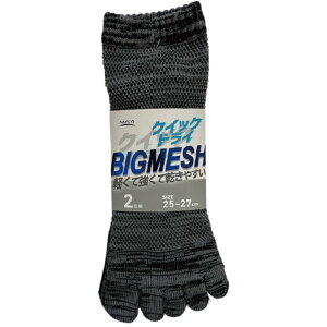 �N�C�b�N�h���C5�{�w ���� 2���g