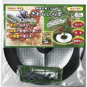 �t�H���X�g ��؂���Ă� ������炢�炸 25cm 2�����i�s���t���j