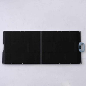 \[[pl100W YSP-M100