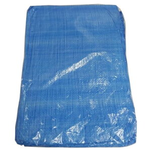 itR yʃu[V[g 5.4×5.4m