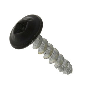 SEL1×ޗp˂@tp t1oCp()