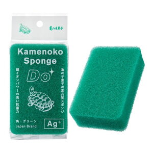 T̎qqX T̎qX|WDO JNK^O[