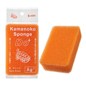 T̎qqX T̎qX|WDO JNK^IW