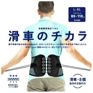 La-VIE Ԃ̃`J L-XL 3B-3748