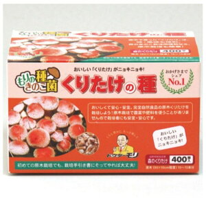 yGg[Ń|Cg10{z肽  400y2025/12/4 20:00 - 2025/12/11 01:59z