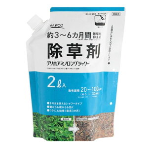 itR OzA~mOV[ 2L